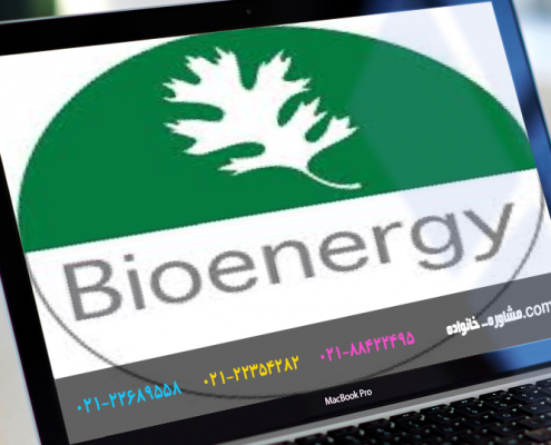 تحلیل بیو انرژی
